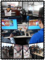 全國格斗大賽省賽首戰(zhàn)場館啟用先進網絡設備，助力賽事直播與銷售新機遇